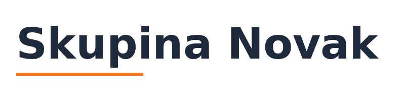 Skupina Novak logo
